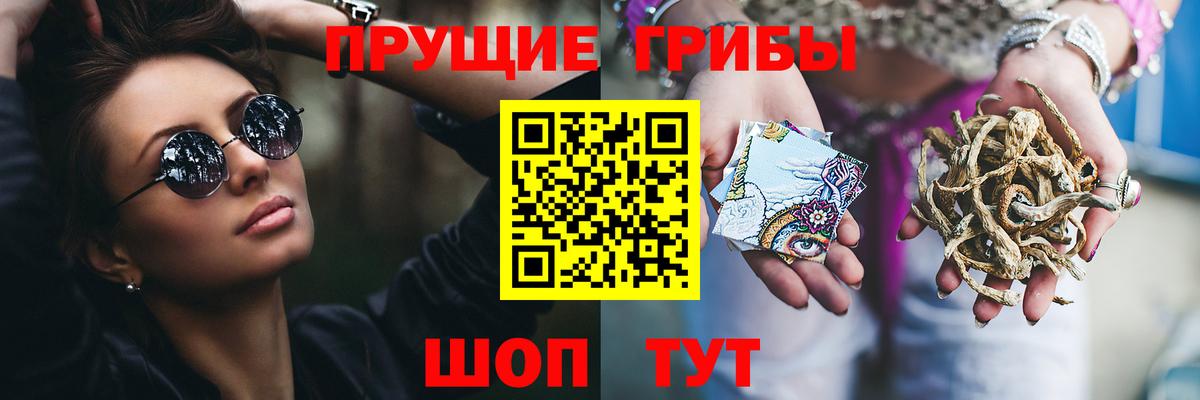 Псилоцибиновые грибы MAGIC MUSHROOMS  Вход с VPN  Лыткарино 